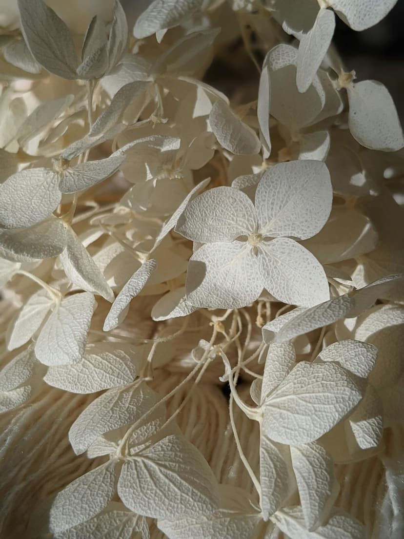 Atlas Flowers