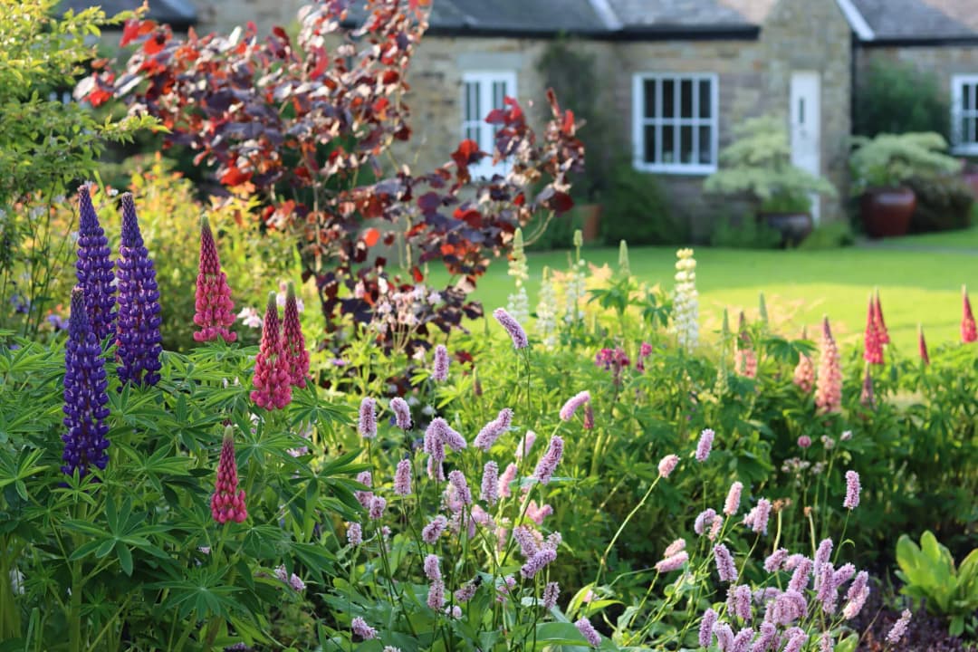 Gardeners Dream