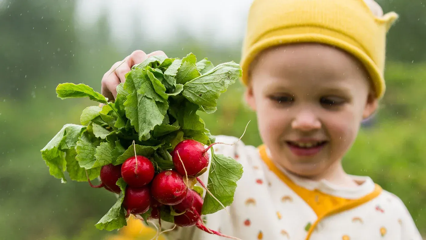 Little Green Radicals