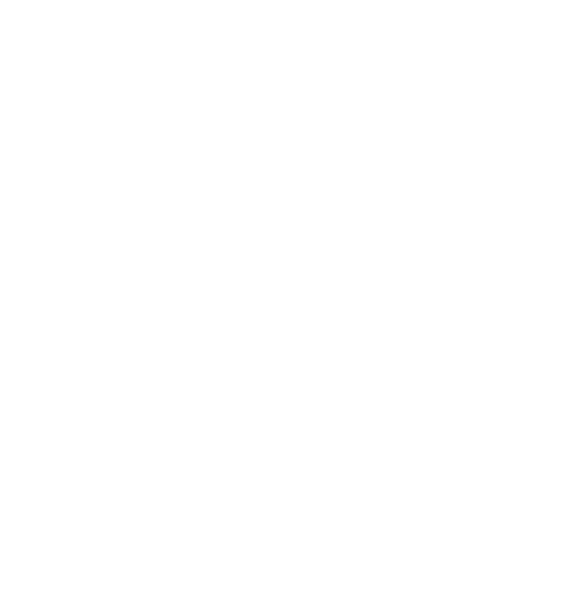 Ski Beat logo