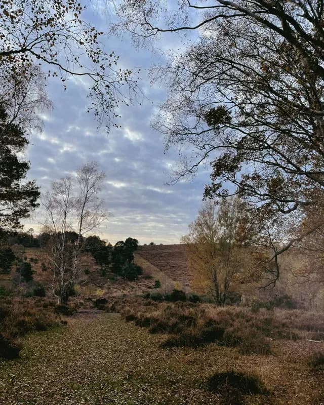 Alessandra Goward gallery