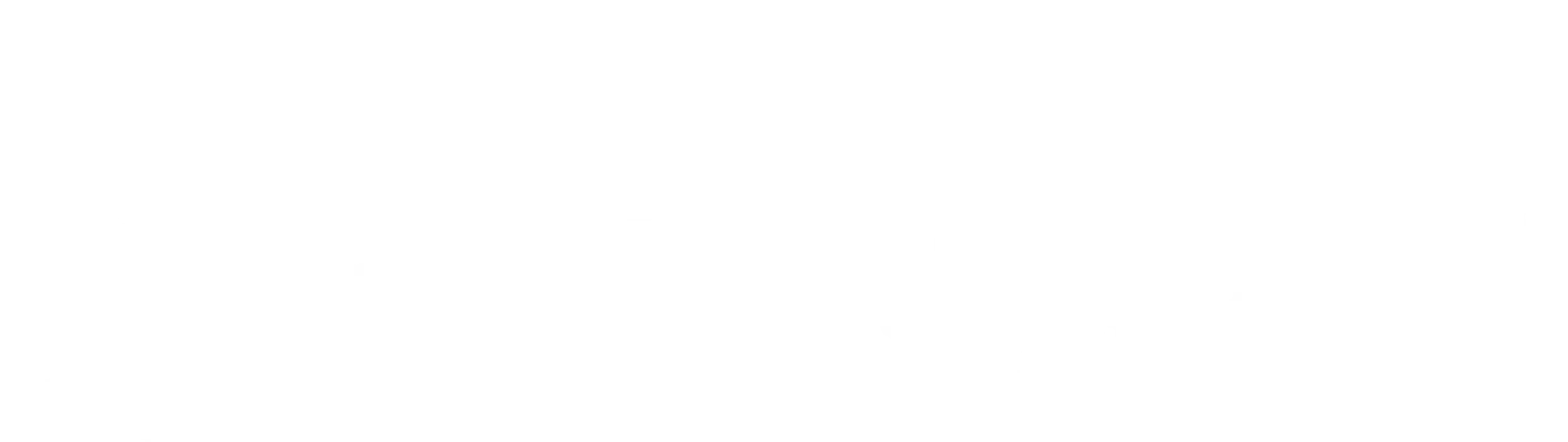reddit.webp
